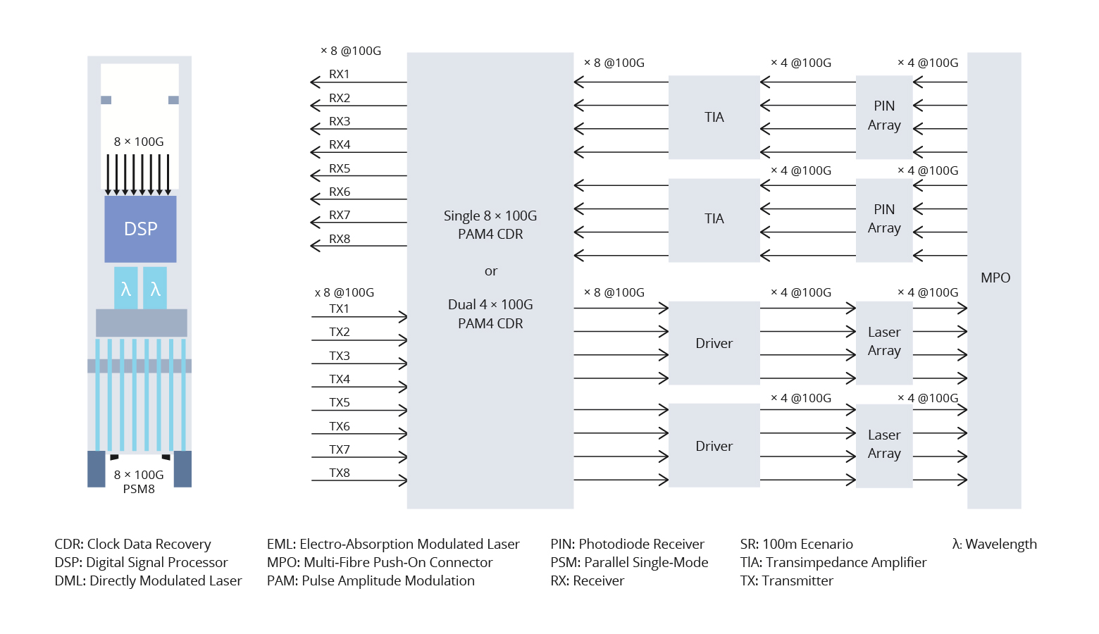 Figure 2 8×100G SR8 DML EML.jpg